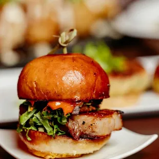 a pork sandwich on a plate