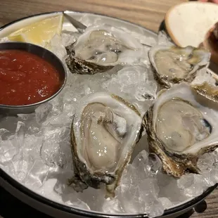 Oysters