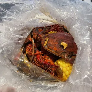 Blue Crab