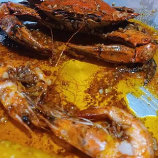 He has no idea what's comin