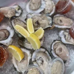 oysters and mussels, mussels, food, shellfish, oysters