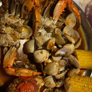 food, oysters, mussels, shellfish, oysters and mussels