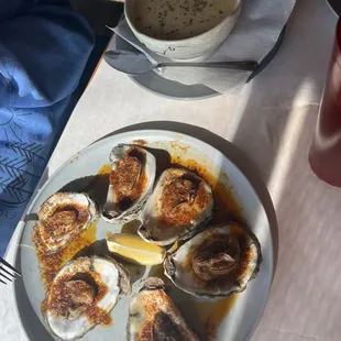Oysters, clam chowder