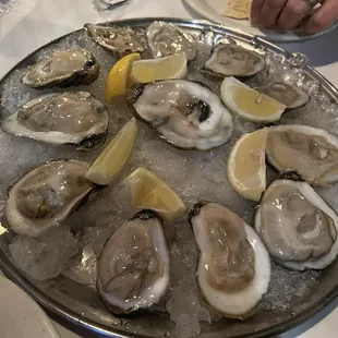 Raw oysters