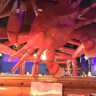 a red crab in a restaurant