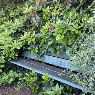 Cute bench in outdoor are