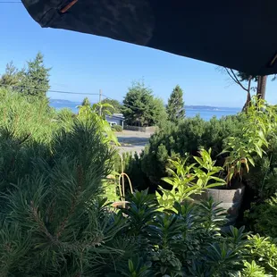 View from outdoor table