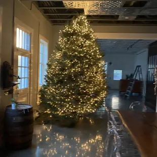 Just Lights with a 15&apos; X
Holiday Tree
