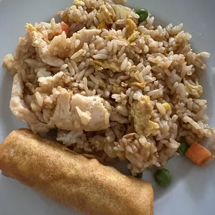 Chicken fried rice and a spring roll