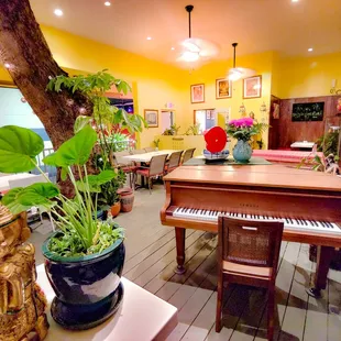 interior, sushi and sashimi