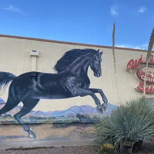 Mural on outside wall