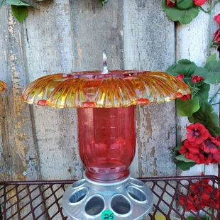 Cute hummingbird feeders