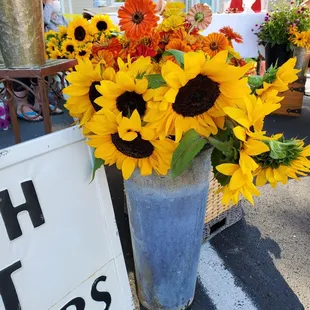 Beautiful sunflowers