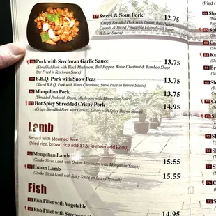 Menu (10 of 14), a/o 1/5/2024