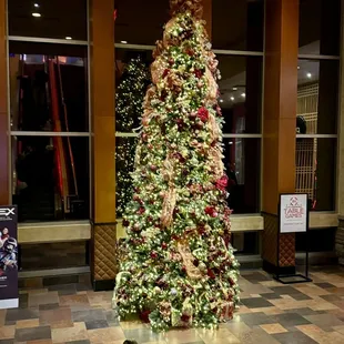 12.24.23 Christmas Tree just below the escalators
