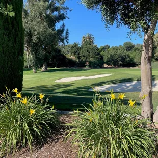 Hole #9