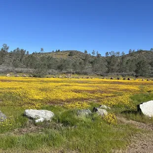 Field by parking area.