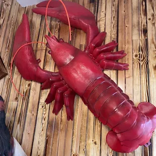 a lobster