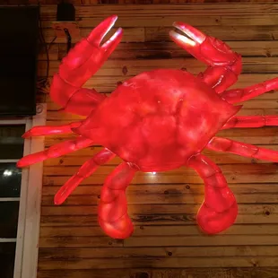 food, sushi and sashimi