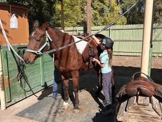 Sanchez Liz Training Stable