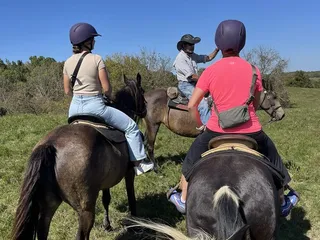 Big Red Stables