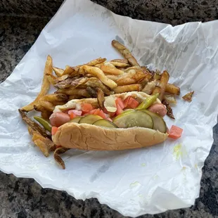 Hot Hotdog and Fries