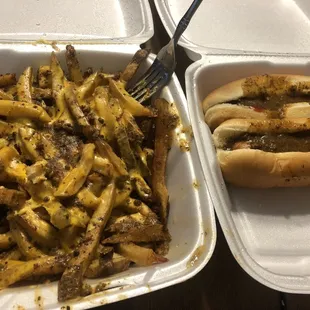 a plate of fries and a hot dog