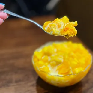 Complimentary 芒果雪花冰 Mango Snow Ice for the soft opening!