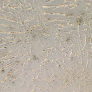 Fly feces on the kitchen ceiling.