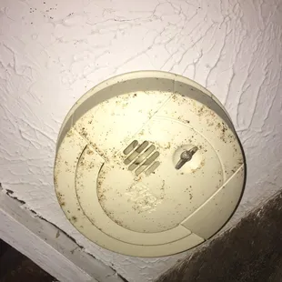 Fly feces covered smoke detector. (Ceiling was painted)