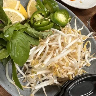 Bring sprouts and basil plates