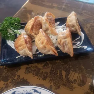 Fried Pork Dumplings