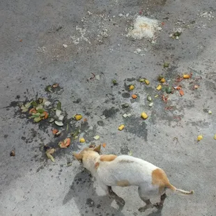 What I did with the leftovers.