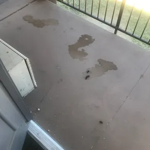 I don't know what this is at the door of the patio, but it's here and I'm not happy.  So I'm gonna vent