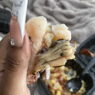 oysters and mussels, food