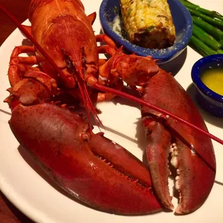Steamed Live Maine Lobster