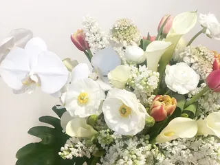 Bloomstream Flowers