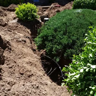New water line install