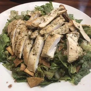 Fattoush Salad with grilled chicken