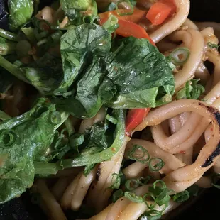 Veggie Udon