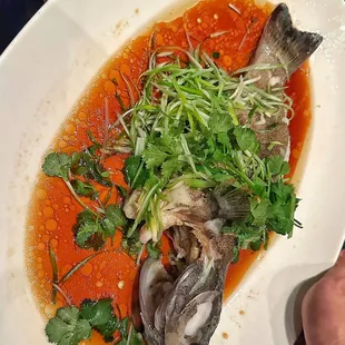 Whole Coral Cod