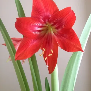 Tina M.