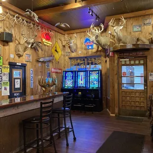 Large tables for groups. Amazing deer mounts.