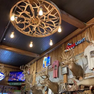 Clean and tastefully decorated with unique elements.