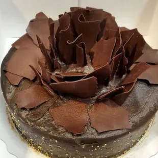 Chocolate Indulgence