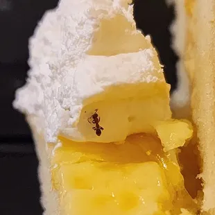 a close up of a piece of cake