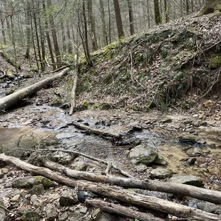 Creek Crossing