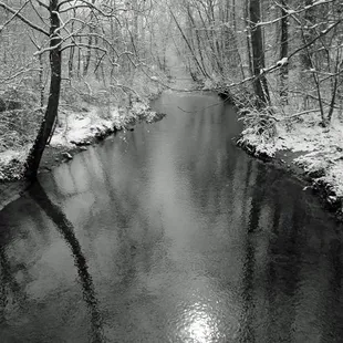 The middle Fork of the Red River meanders through the Red River Outdoors property