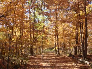Hatchers Creek Ranch