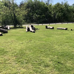 All natural playground